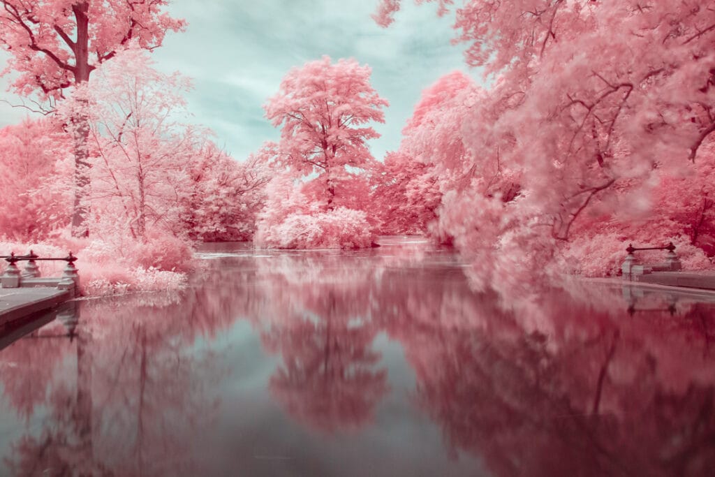 Brooklyn's Prospect Park in Pink Infrared Photography