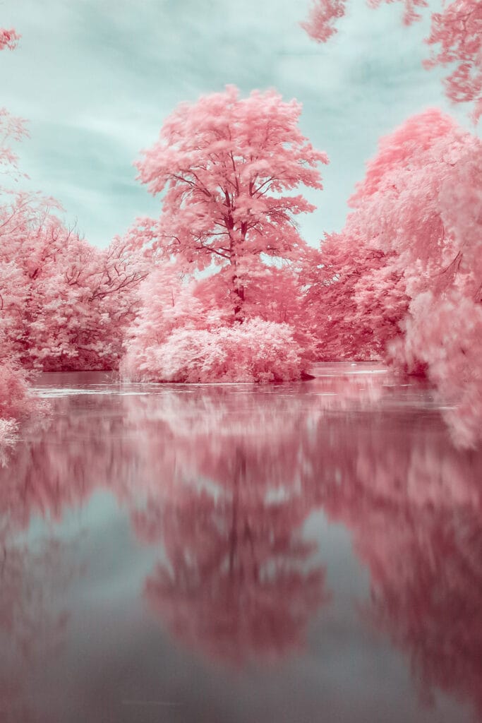 Turning Nature into Colorful Infrared Landscapes