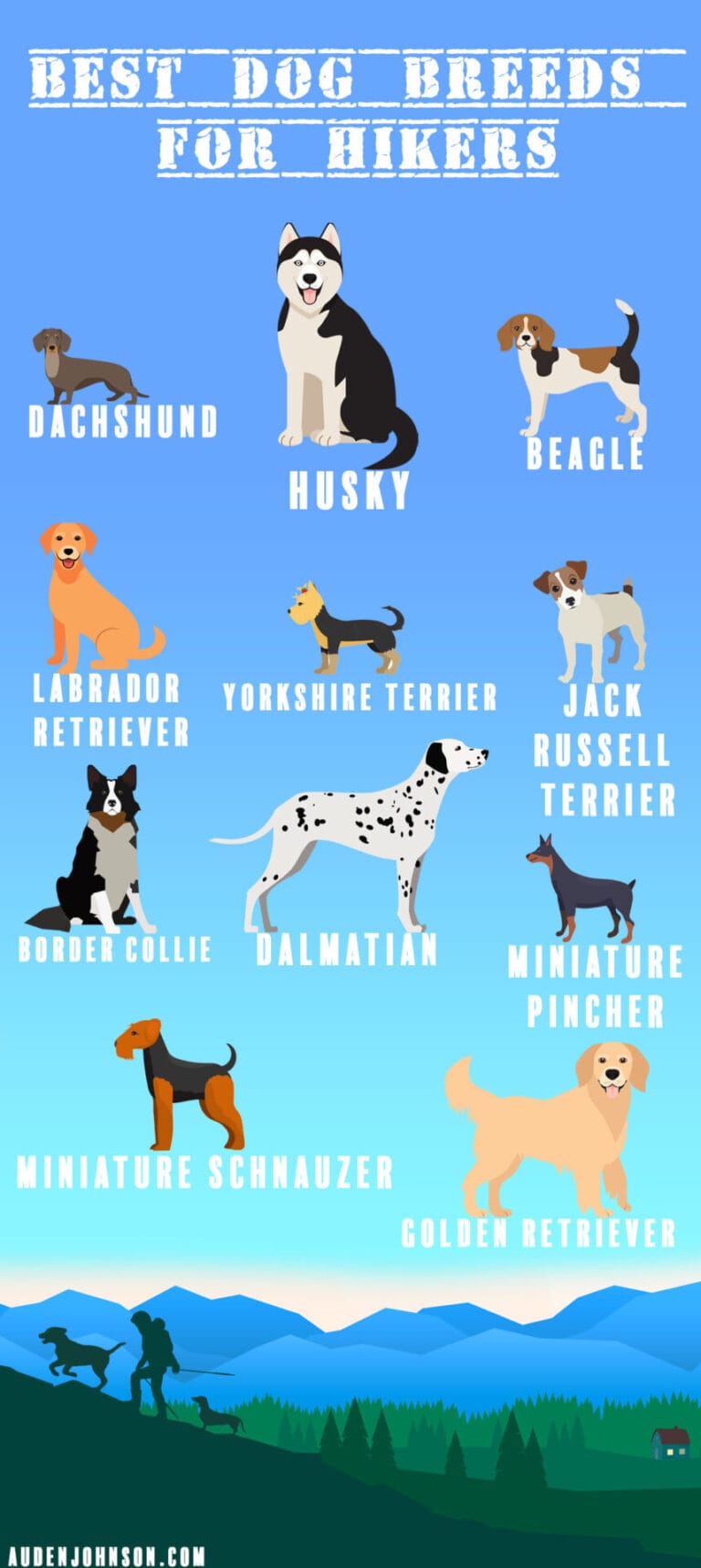 Hiking Guide Best Dog Breeds for Hikers (Infographic) Auden Johnson