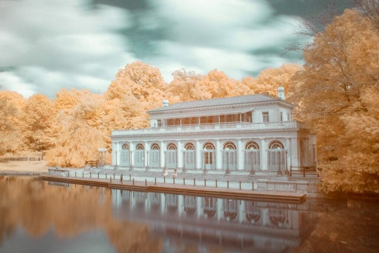 Fall like Infrared Photograph