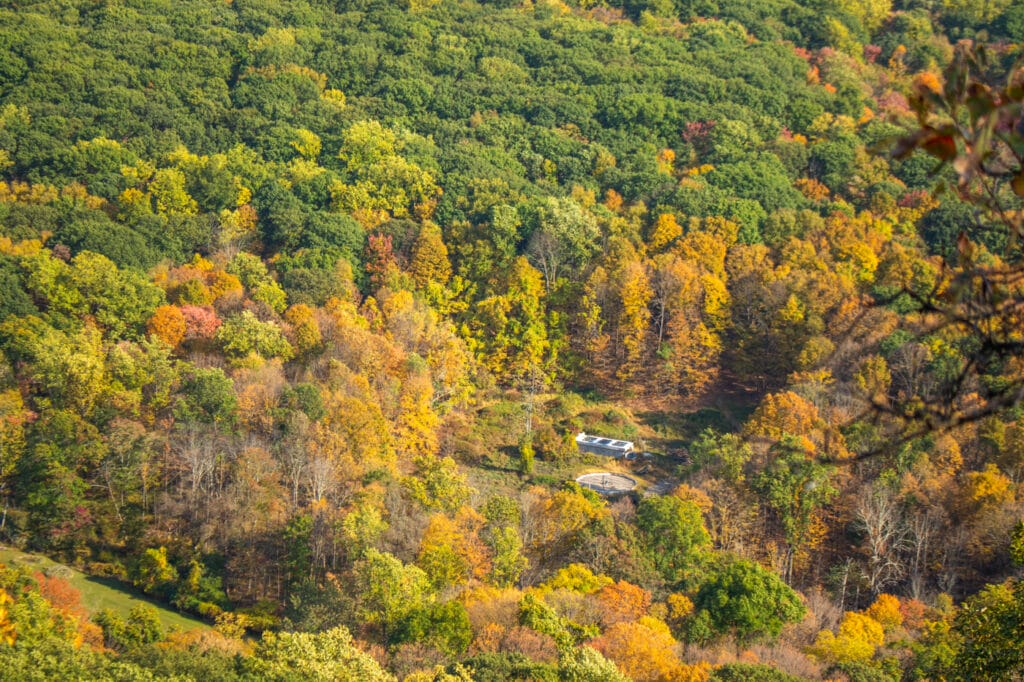 New York in Autumn