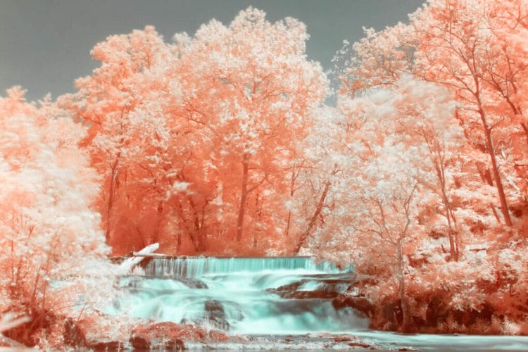Madam Brett Park's Waterfall in Hudson Valley NY