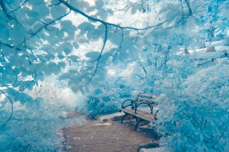 Dreamy, fantasy bench in Greenwood Cemetery