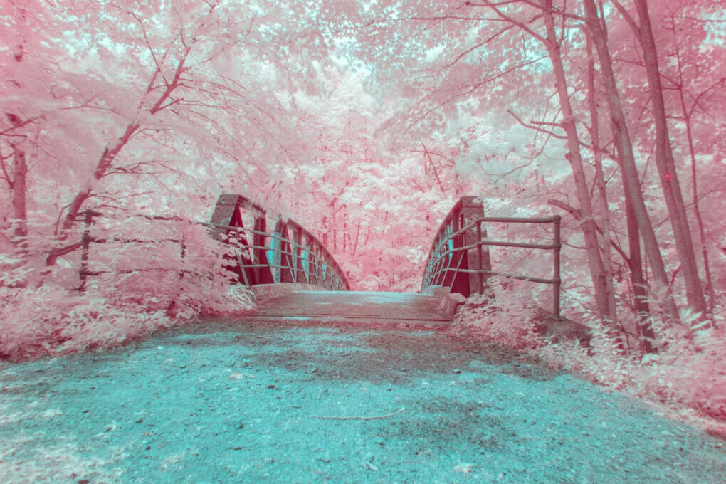 Infrared Photography bridge